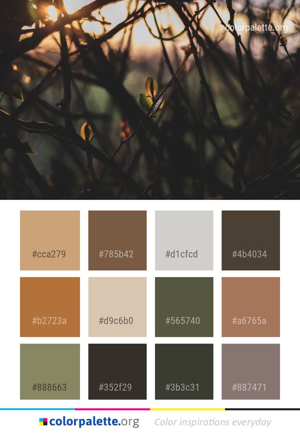 Branch Fauna Plant Color Palette