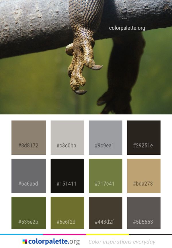 Fauna Reptile Scaled Color Palette