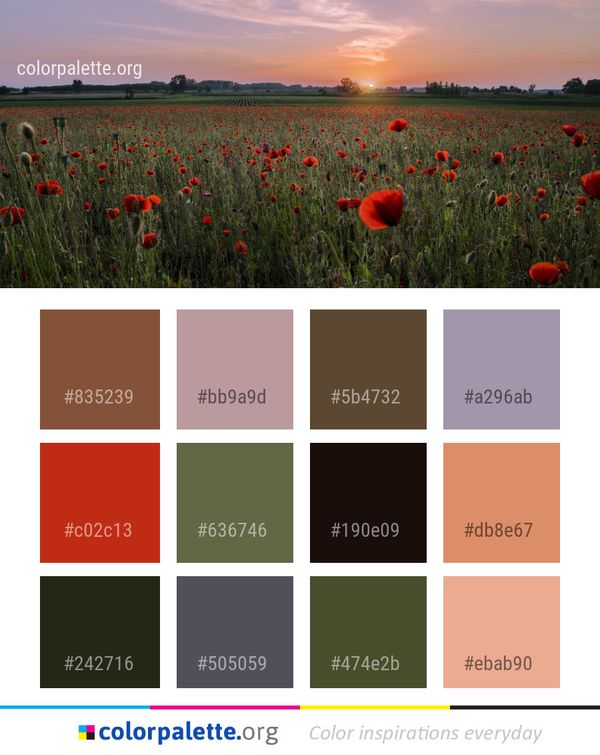 Field Ecosystem Wildflower Color Palette