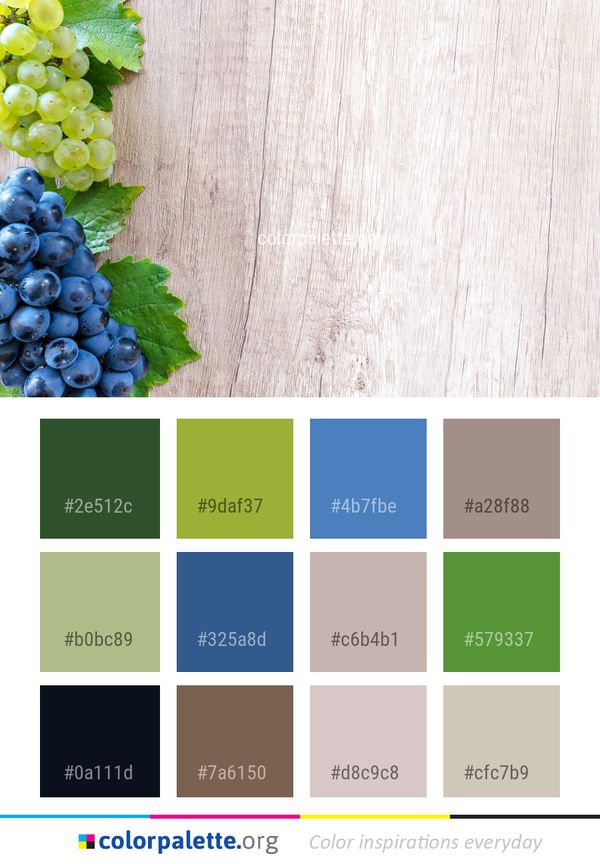 Grape Grapevine Family Fruit Color Palette