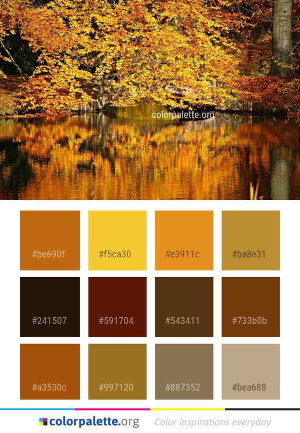 Reflection Water Nature Color Palette