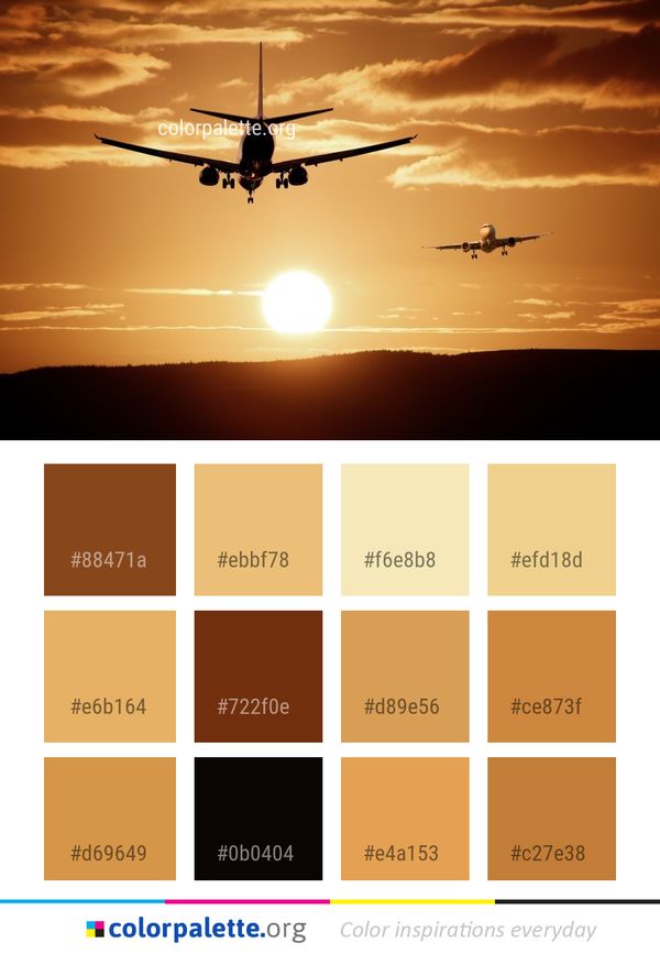 Sky Air Travel Airplane Color Palette