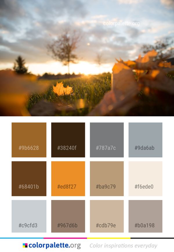 Sky Cloud Sunrise Color Palette