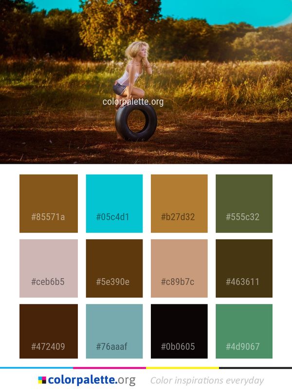 Sky Photography Tree Color Palette