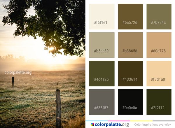 Tree Sky Sunrise Color Palette
