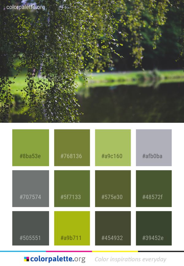 Water Reflection Vegetation Color Palette