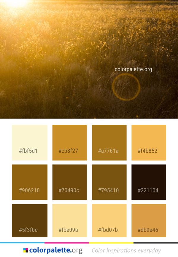 Yellow Field Grass Family Color Palette