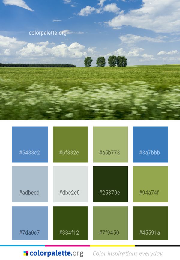 Grassland Sky Field Color Palette