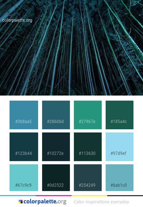 Green Nature Forest Color Palette