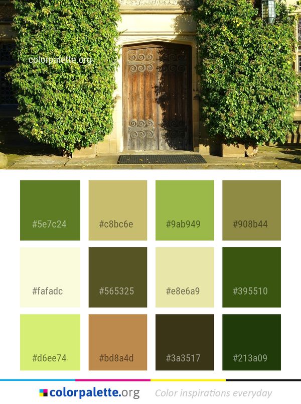 Green Tree Wall Color Palette