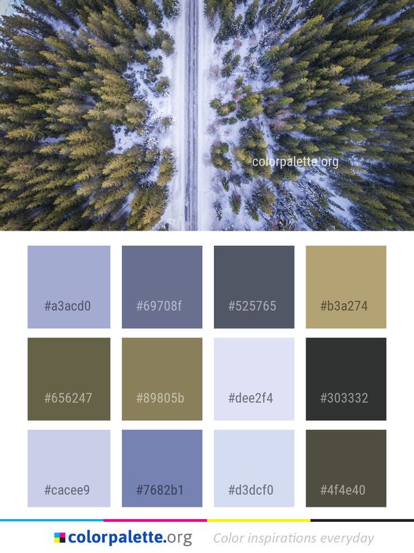 Nature Water Tree Color Palette
