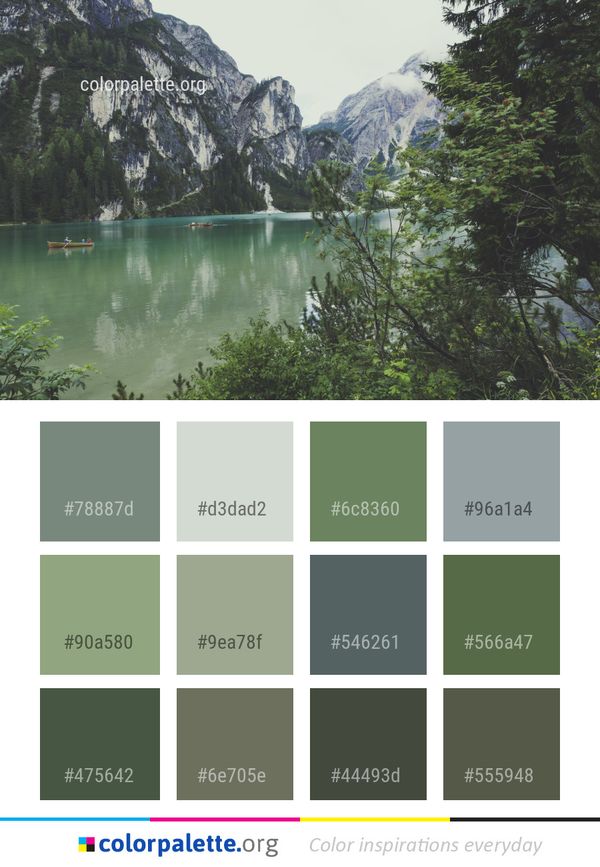 Nature Wilderness Lake Color Palette