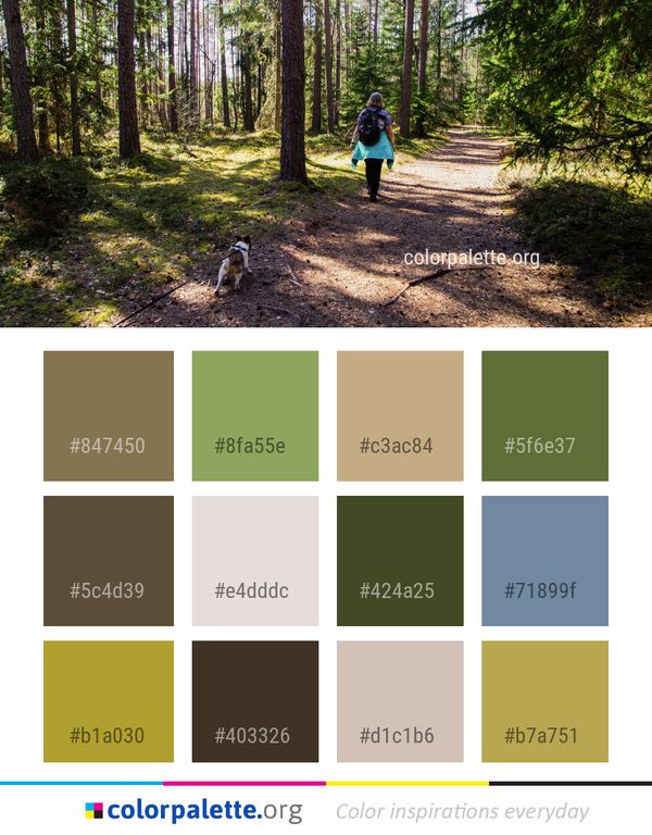 Path Woodland Ecosystem Color Palette