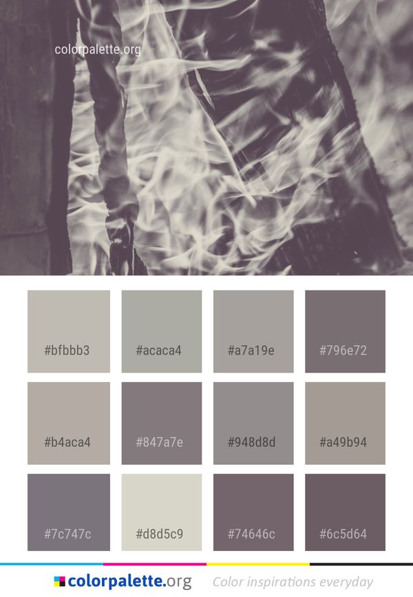 Photograph Purple Light Color Palette