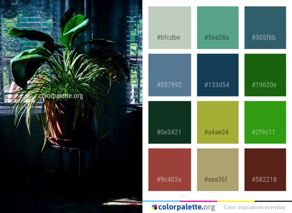 Plant Leaf Flora Color Palette