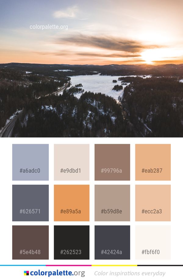 Sky Winter Snow Color Palette