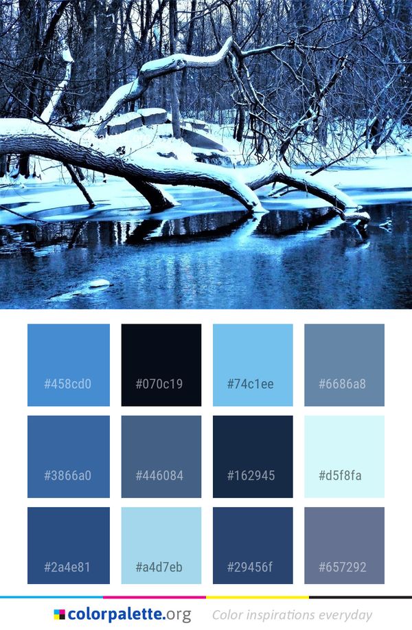 Snow Reflection Water Color Palette