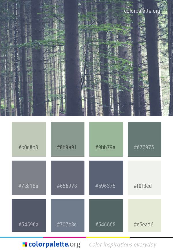 Tree Green Ecosystem Color Palette