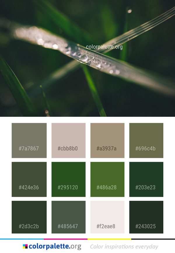Water Dew Moisture Color Palette