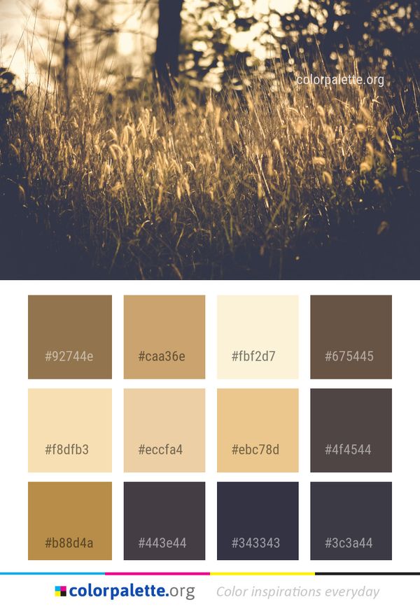 Water Nature Reflection Color Palette