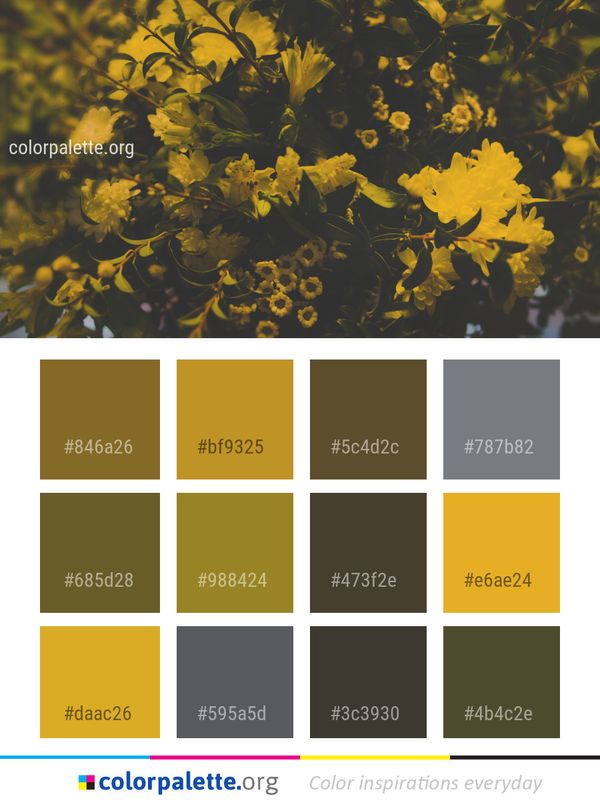 Yellow Leaf Flora Color Palette