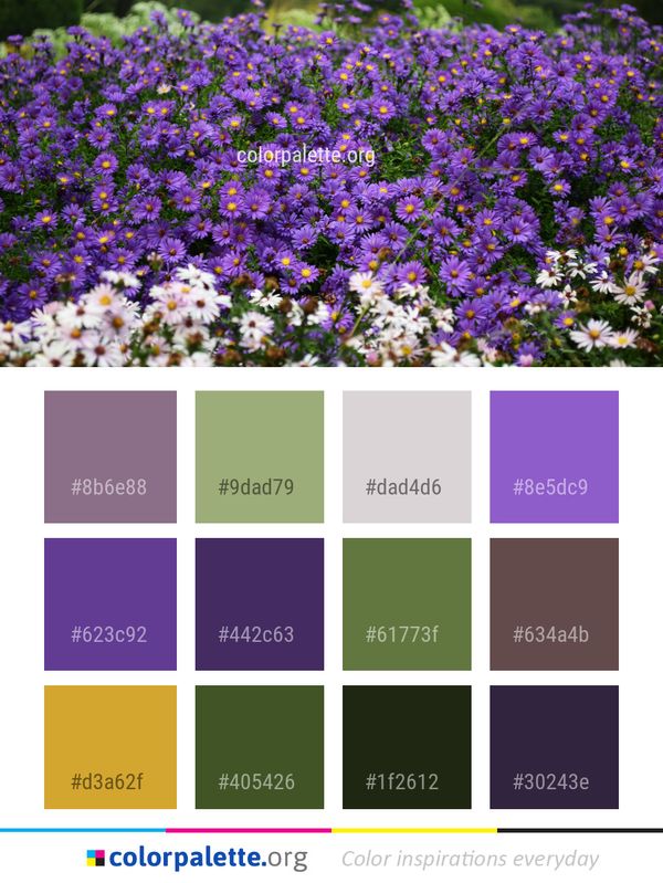 Flower Plant Flora Color Palette