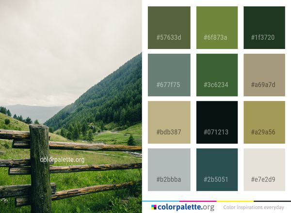 Grassland Green Highland Color Palette