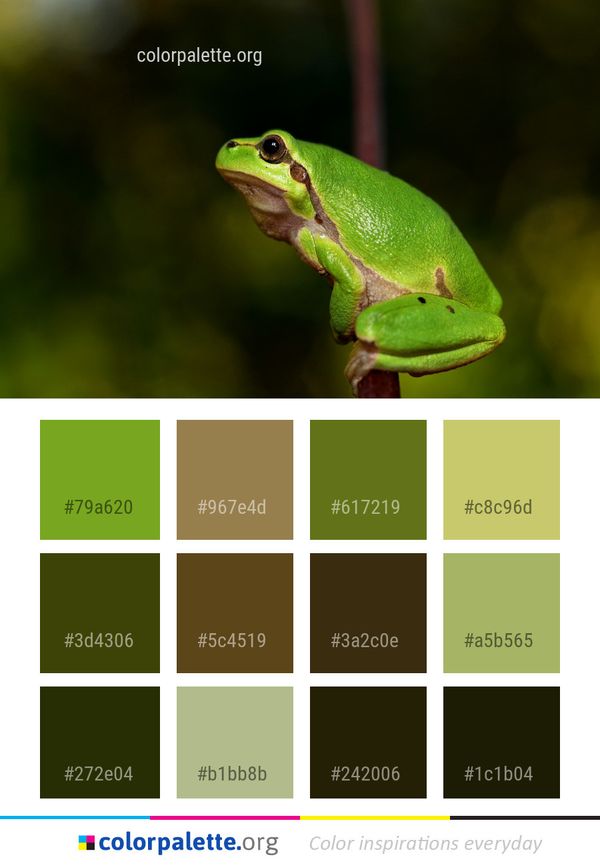 Green Frog Tree Color Palette
