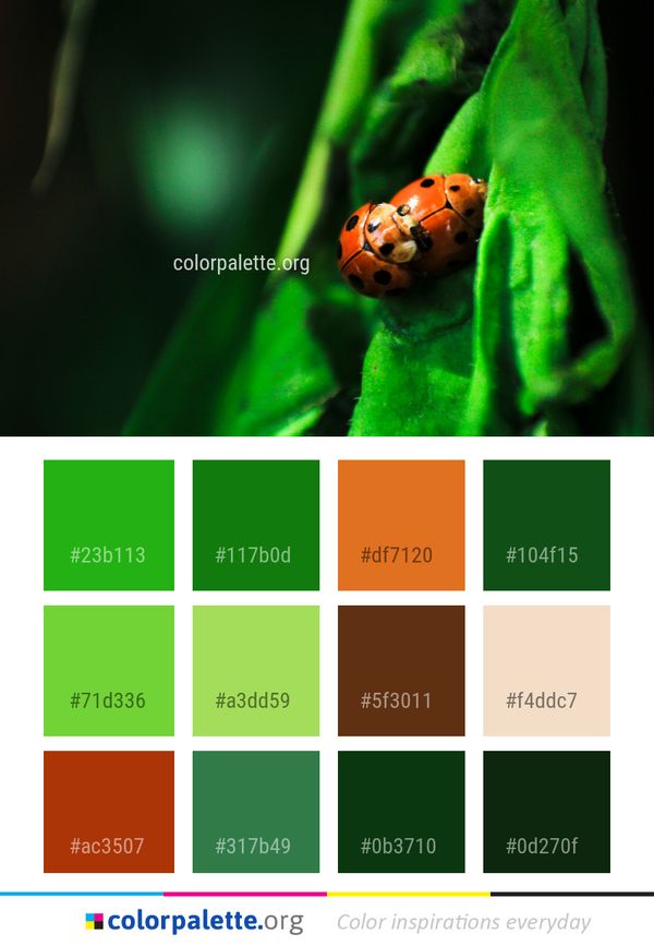 Green Insect Ladybird Color Palette