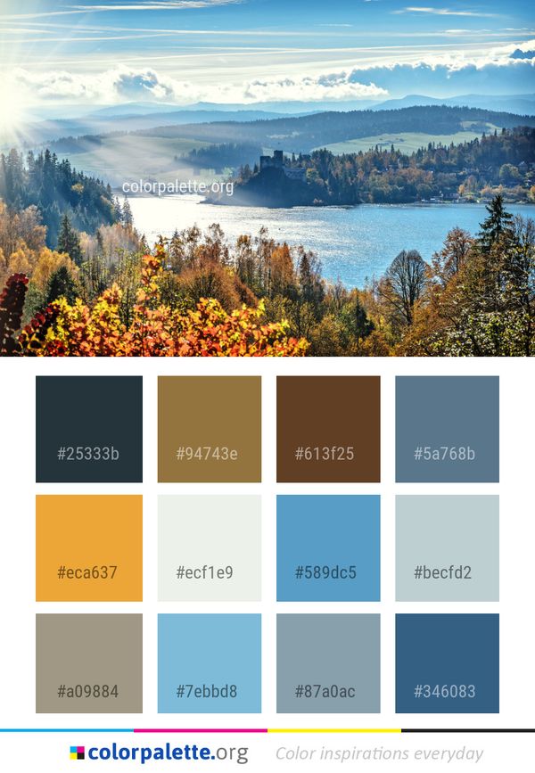 Nature Leaf Wilderness Color Palette