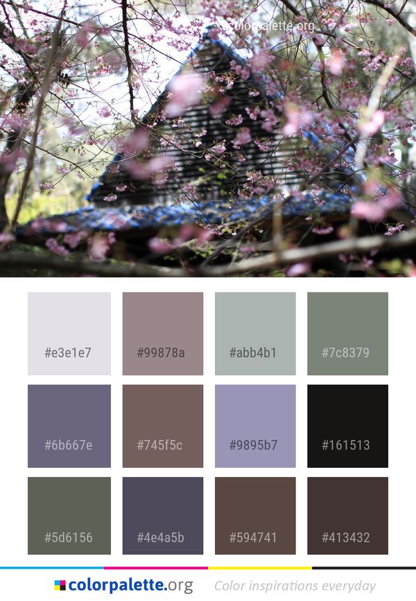 Plant Tree Branch Color Palette