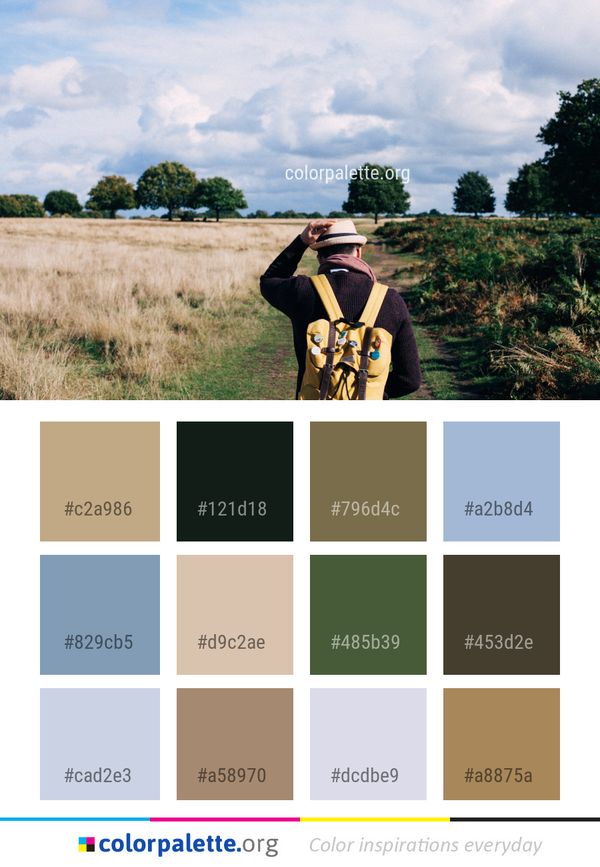 Sky Grassland Grass Color Palette