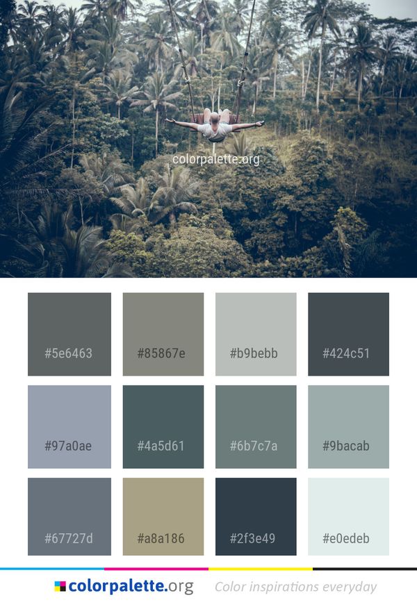 Sky Tree Water Color Palette