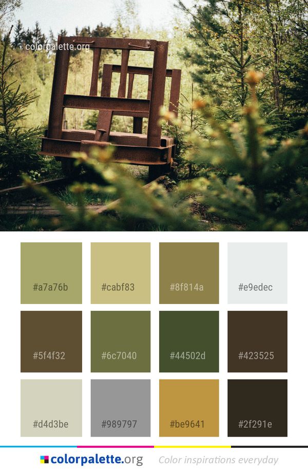 Tree House Home Color Palette