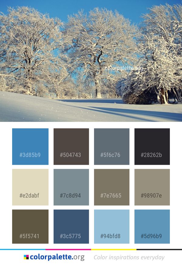 Winter Snow Tree Color Palette