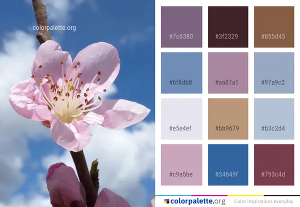 Floral Color Palettes — Digital Book preview 3