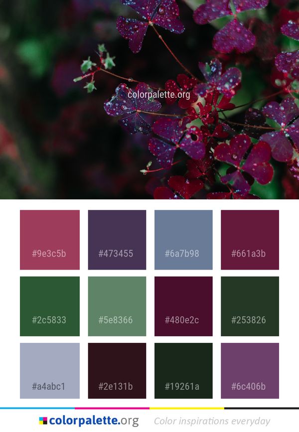 Flora Leaf Purple Color Palette