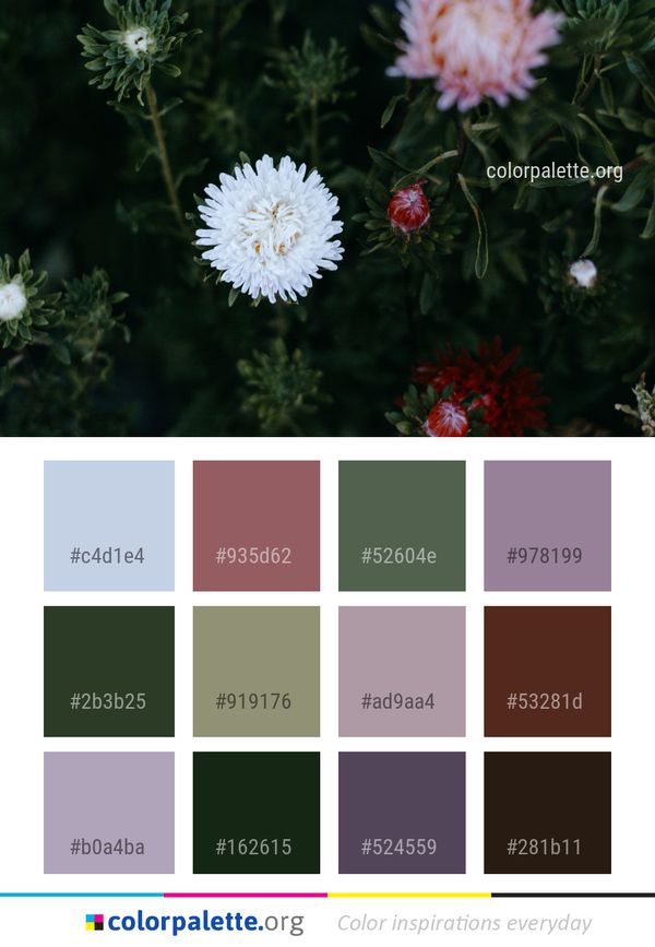 Flower Plant Flora Color Palette