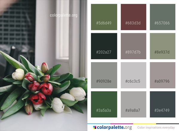 Flower Plant Flowering Color Palette