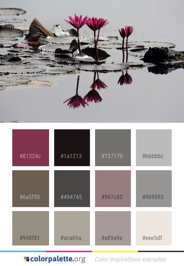 Flower Water Pink Color Palette