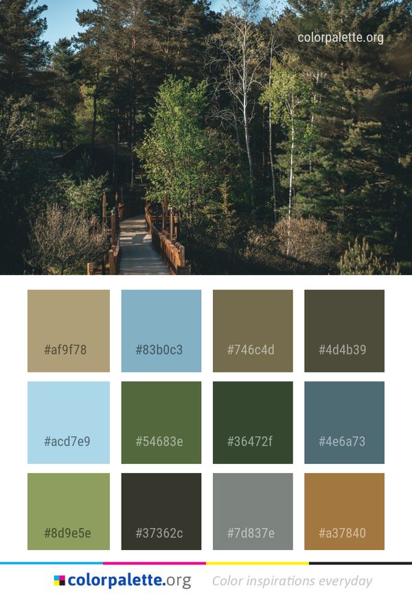 Nature Tree Reserve Color Palette