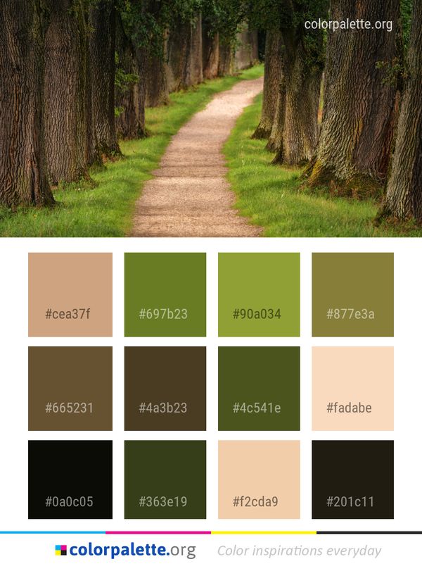 Path Tree Ecosystem Color Palette