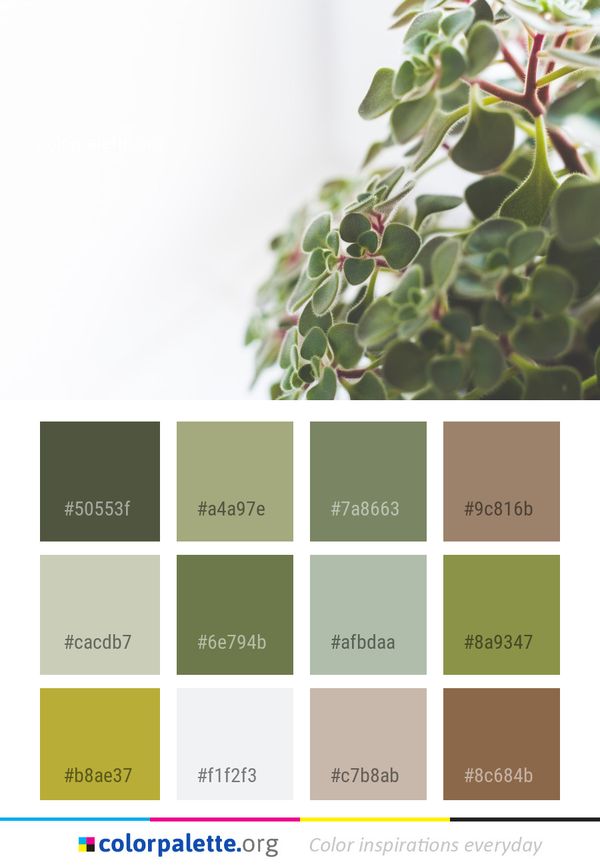 Plant Leaf Branch Color Palette