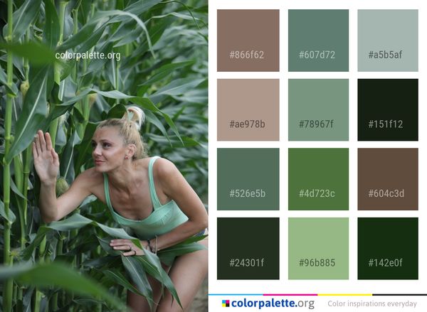 Plant Leaf Grass Color Palette
