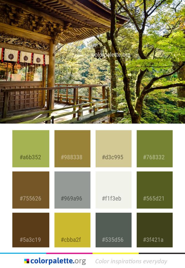 Plant Tree Leaf Color Palette