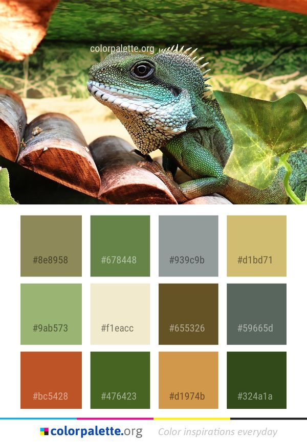 Reptile Scaled Iguania Color Palette