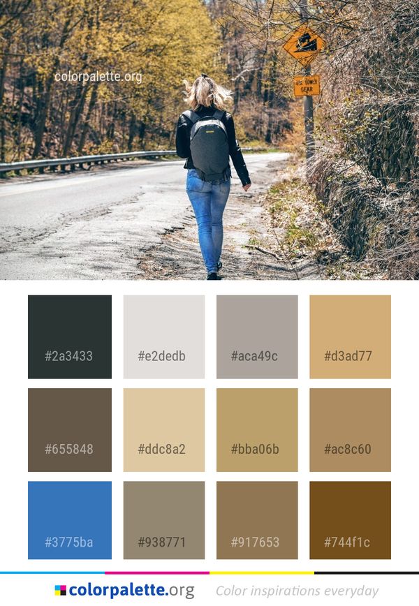 Road Nature Photograph Color Palette