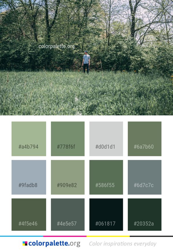 Tree Grass Plant Color Palette