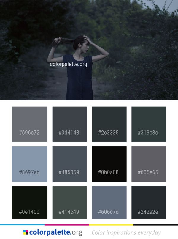 Darkness Tree Photography Color Palette