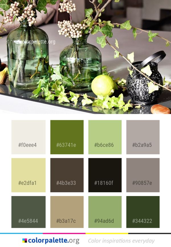 Floristry Flower Arranging Centrepiece Color Palette
